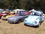 Beetle Show Rioz (50)